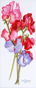 Three Sweet Peas by Joan Thewsey